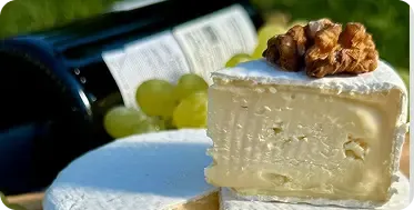 Бесплатные еженедельные прямые эфиры