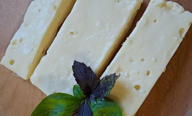 Таледжо