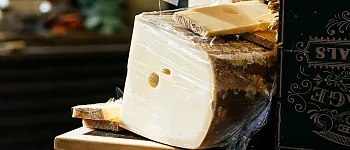 Сыр маасдам: вкус и запах Сыр маасдам: вкус и запах