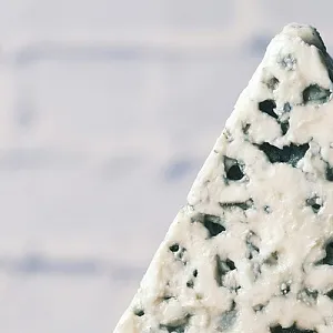 Как называется сыр с плесенью — белой, красной, голубой и зеленой