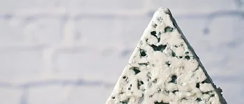 Как называется сыр с плесенью — белой, красной, голубой и зеленой