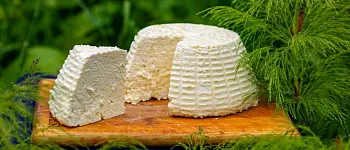 Самый дорогой сыр: топ уникальных сортов