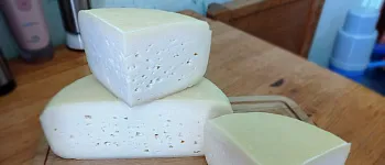 Тильзитер: вкус, история, сорта Тильзитер: вкус, история, сорта